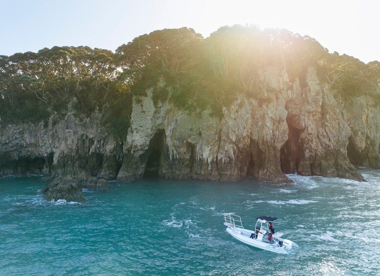 Picture 1 for Activity Discover Whangamata - Boat Tour