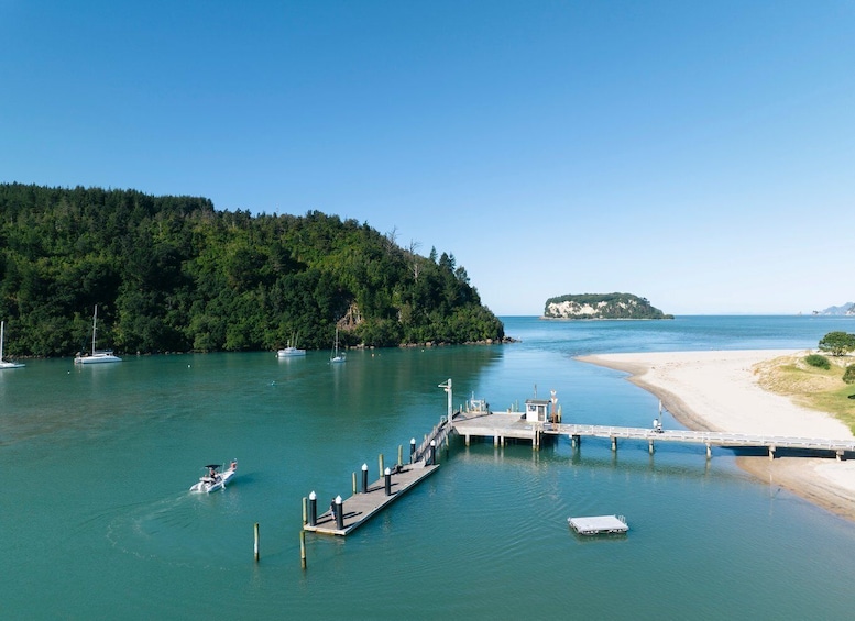 Picture 3 for Activity Discover Whangamata - Boat Tour