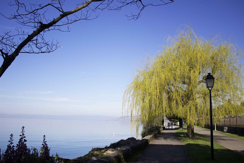 Picture 4 for Activity Montreux - Private tour with a visit to Chillon Castle