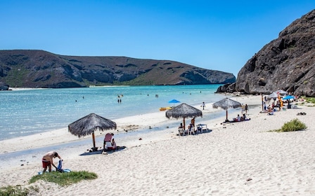 Dari Cabo San Lucas: Perjalanan sehari di La Paz dan Todos Santos