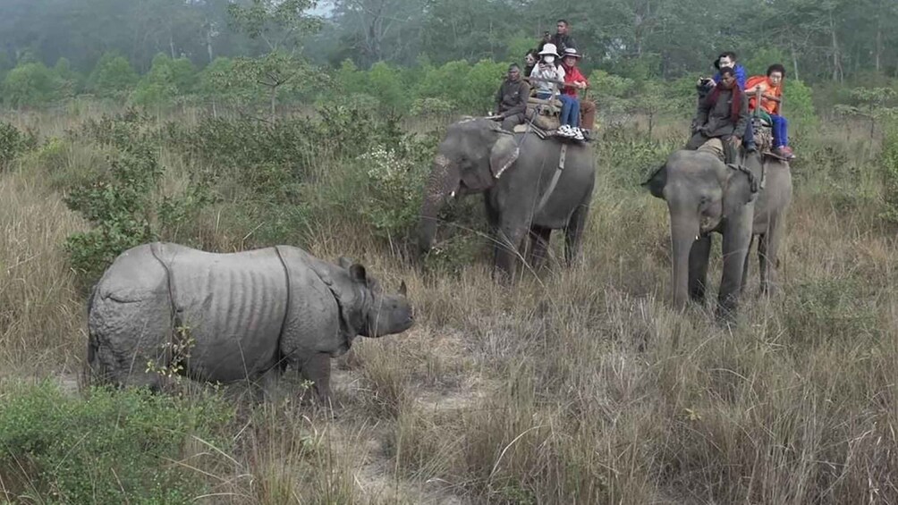 Chitwan National Park Luxury Tour