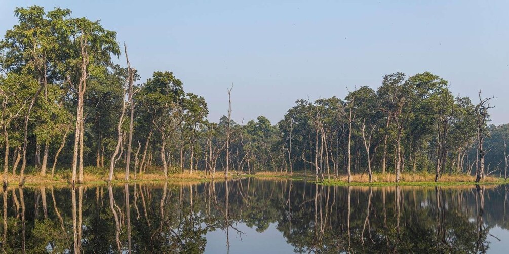 Picture 1 for Activity Chitwan National Park Luxury Tour