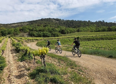 Saint-Martin-d'Ardèche: Electric Bike Wine Tour & Tasting