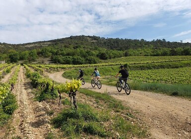 Saint-Martin-d'Ardèche: Electric Bike Wine Tour & Tasting