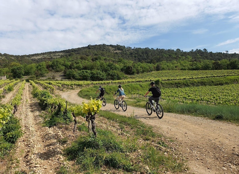 Saint-Martin-d'Ardèche: Electric Bike Wine Tour & Tasting