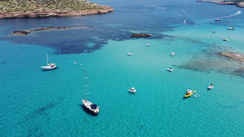 Ibiza: Private Beach and Cave Speedboat Tour