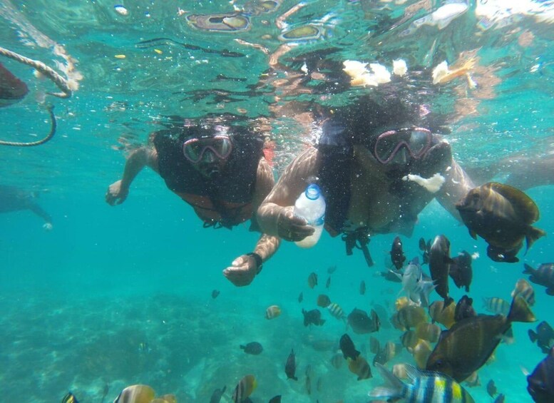 Picture 21 for Activity East Bali : Blue Lagoon Snorkeling - All inclusive