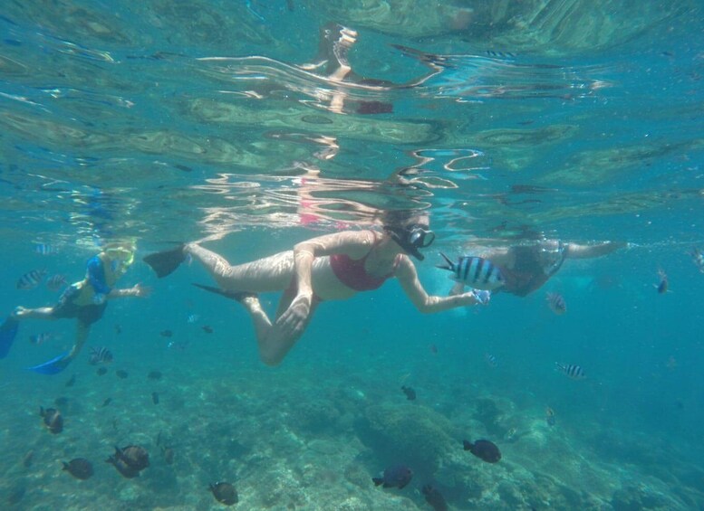 Picture 17 for Activity East Bali : Blue Lagoon Snorkeling - All inclusive