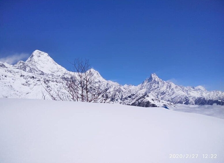 Picture 10 for Activity Pokhara: Exciting Heli Ride to Annapurna Base Camp