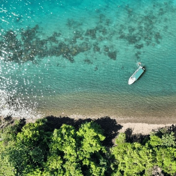 Picture 1 for Activity Golfo Dulce: Explore Coral Reefs on our Snorkeling Tour