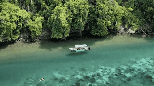 Golfo Dulce: Explore Coral Reefs on our Snorkelling Tour