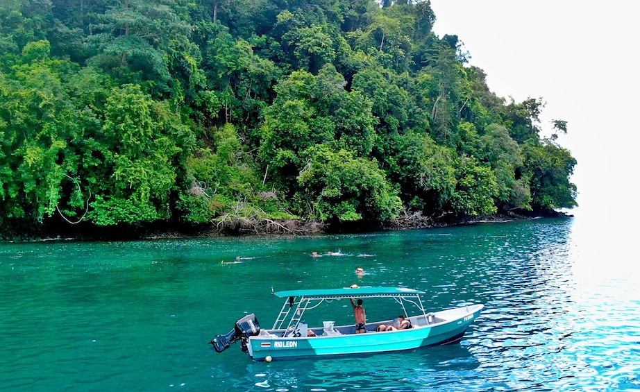 Picture 2 for Activity Golfo Dulce: Explore Coral Reefs on our Snorkeling Tour