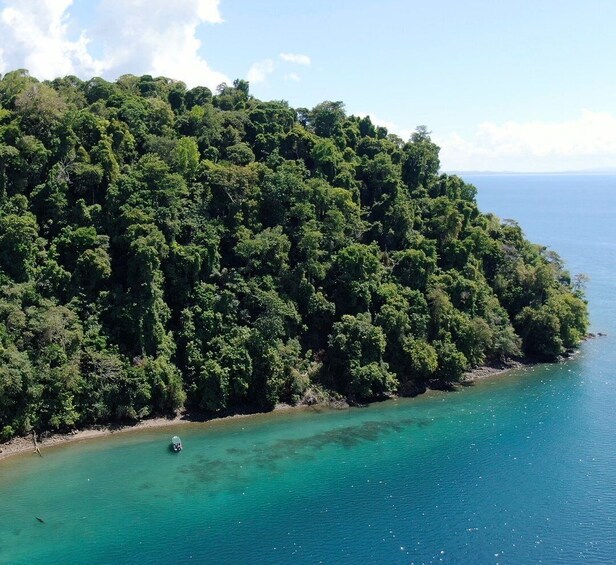 Picture 5 for Activity Golfo Dulce: Explore Coral Reefs on our Snorkeling Tour