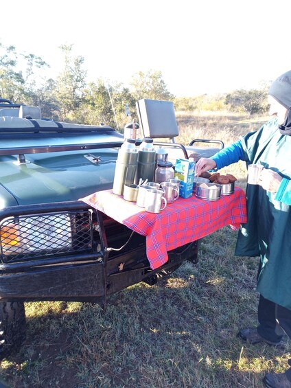 Picture 4 for Activity Pilanesberg National Park