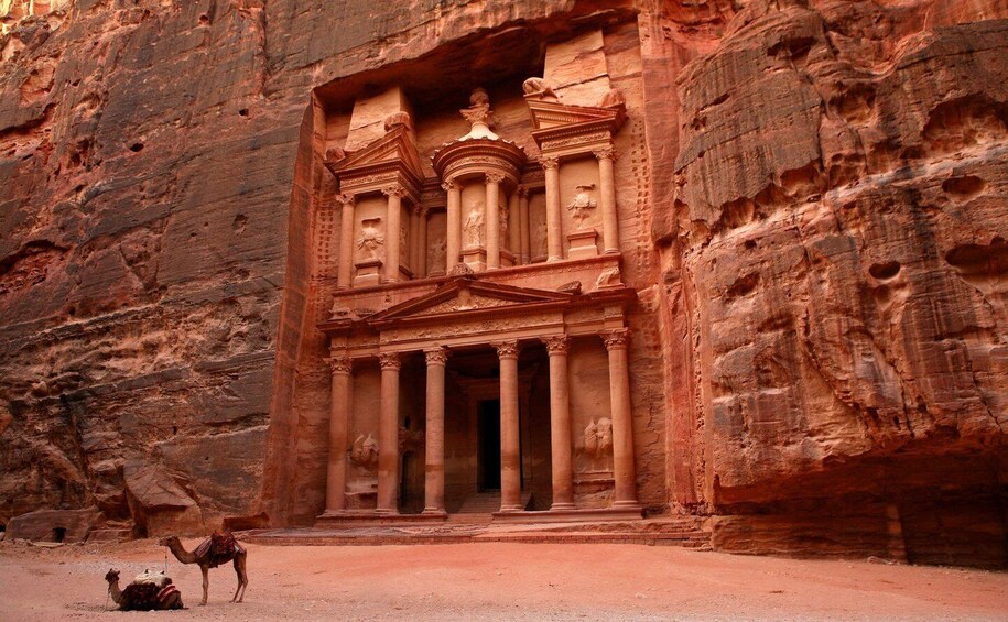 1- Day Tour: Petra from Amman
