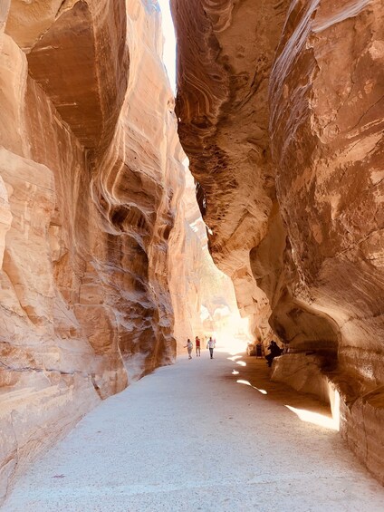 Picture 1 for Activity 1- Day Tour: Petra from Amman