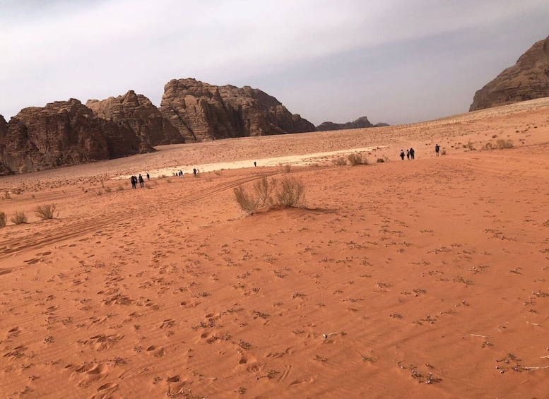 2 Days Tour to Petra and Wadi-Rum from Aqaba