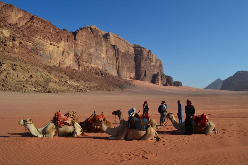 Picture 11 for Activity 2 Days Tour to Petra and Wadi-Rum from Aqaba