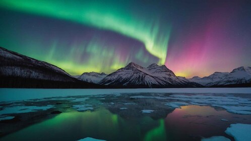 From Tromsø: Northern Lights Adventure with Hotel Transfers