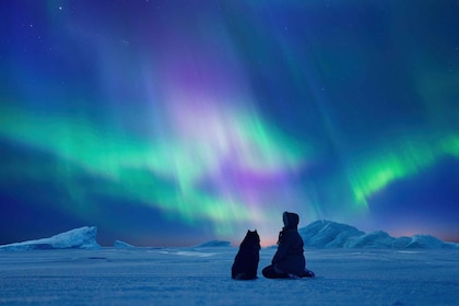 Tromsø: Northern Lights Adventure by Bus or Minibus