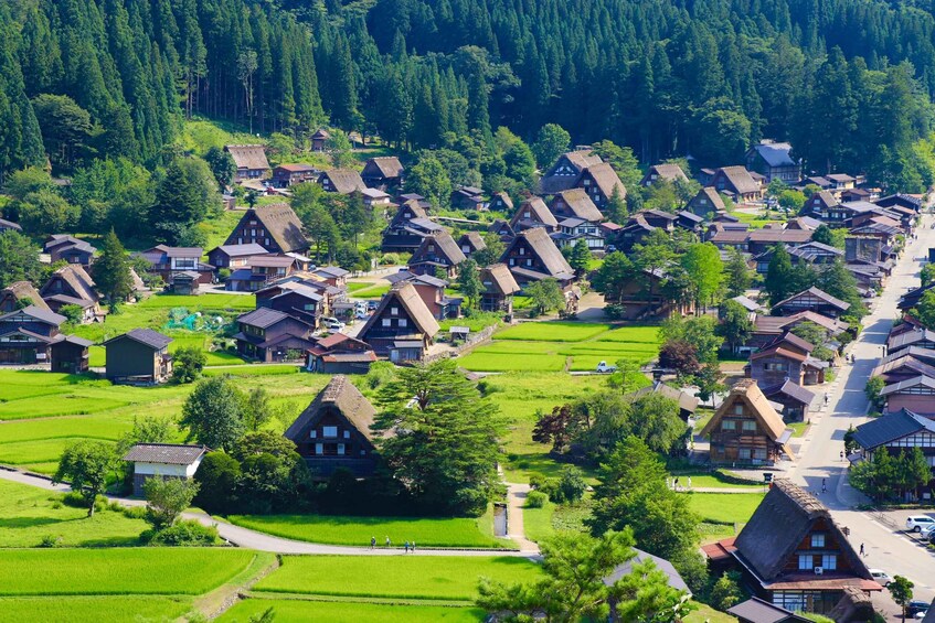 Picture 8 for Activity Shirakawa-go from Takayama/Nagoya One day Bus ticket