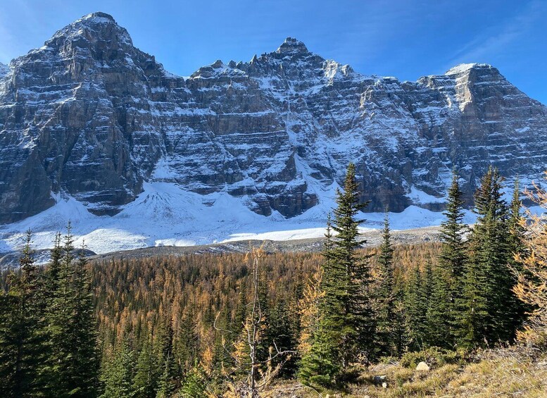 Picture 5 for Activity Moraine Lake & Larch Valley Hike