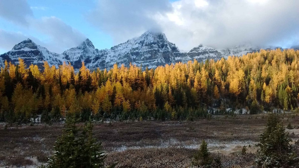Moraine Lake & Larch Valley Hike