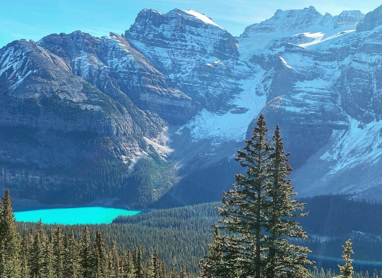 Picture 1 for Activity From Banff or Lake Louise: Moraine Lake & Larch Valley Hike