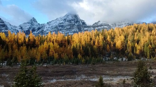 Moraine Lake & Larch Valley vandring