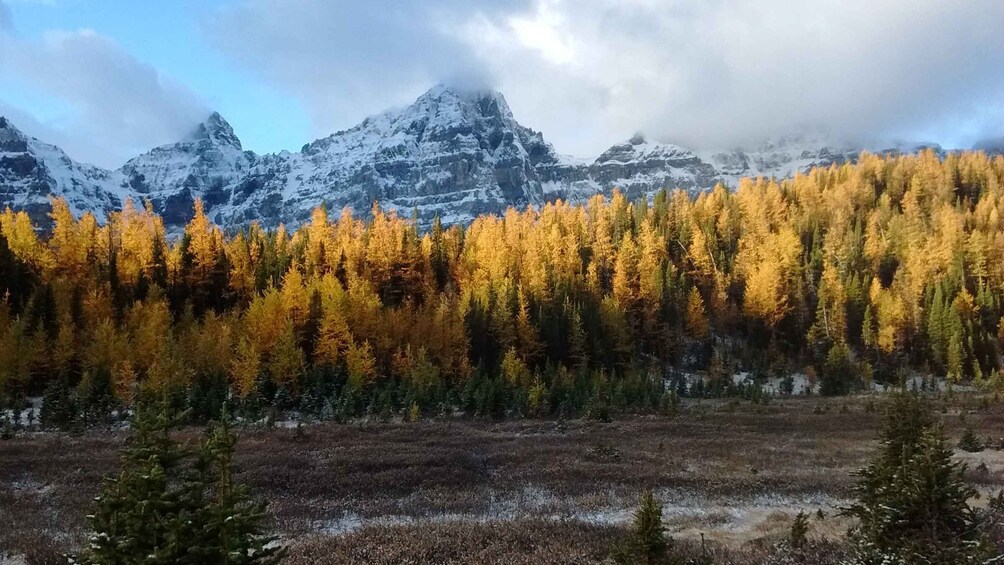 From Banff or Lake Louise: Moraine Lake & Larch Valley Hike