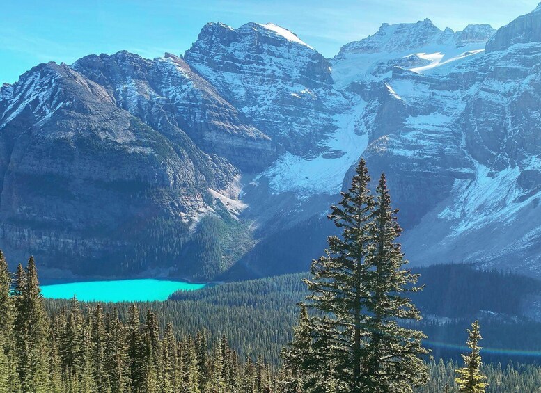 Picture 1 for Activity Moraine Lake & Larch Valley Hike