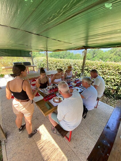 Picture 3 for Activity Tasting in a Vineyard with transfer from Pisa