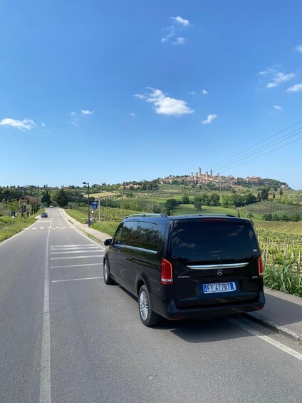 Picture 1 for Activity Tasting in a Vineyard with transfer from Pisa