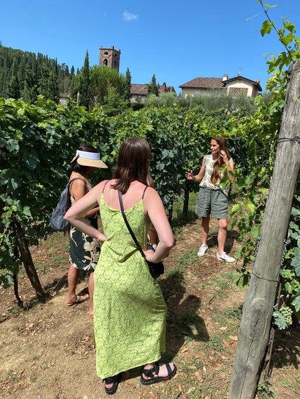 Picture 8 for Activity Tasting in a Vineyard with transfer from Pisa