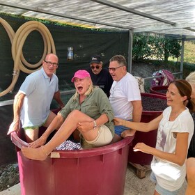 Tasting in a Vineyard with transfer from Pisa