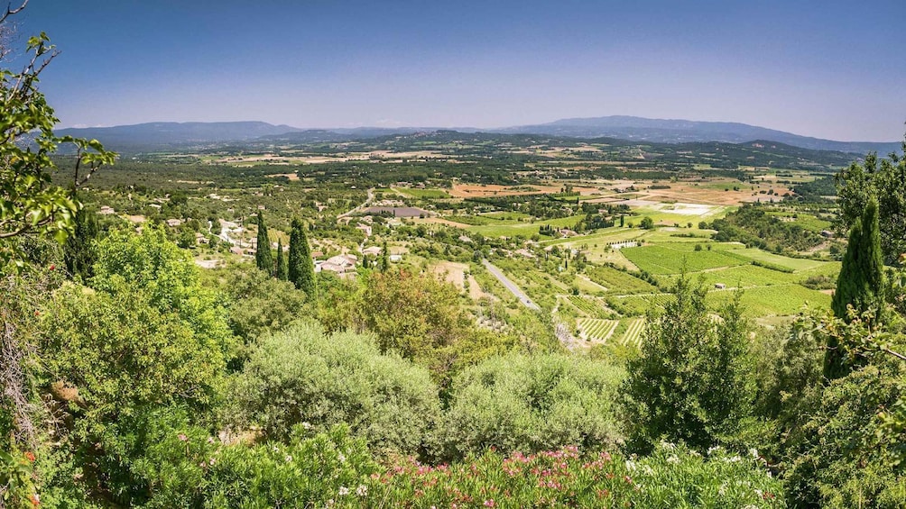 Picture 2 for Activity Luberon: Robion Bike Ride With Brewery Visit