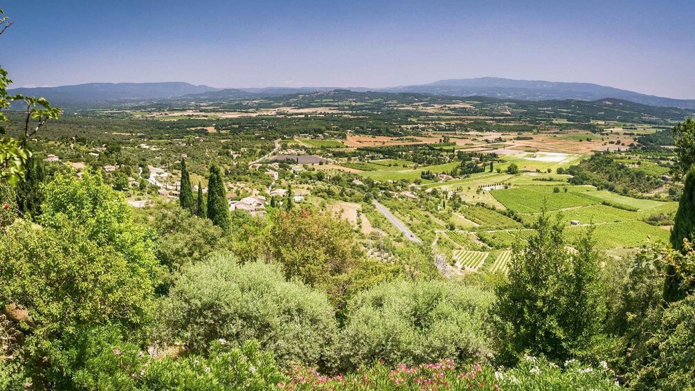 Picture 2 for Activity Luberon: Robion Bike Ride With Brewery Visit