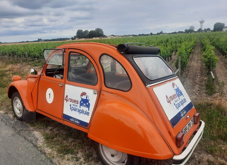 Picture 1 for Activity Saint-Émilion : Citroën 2CV Private 1 Day Wine Tour