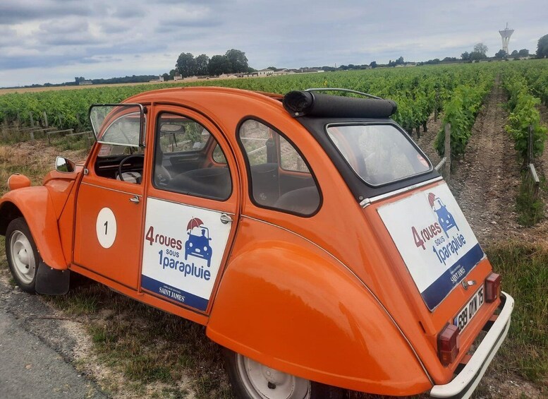 Picture 1 for Activity Saint-Émilion : Citroën 2CV Private 1 Day Wine Tour