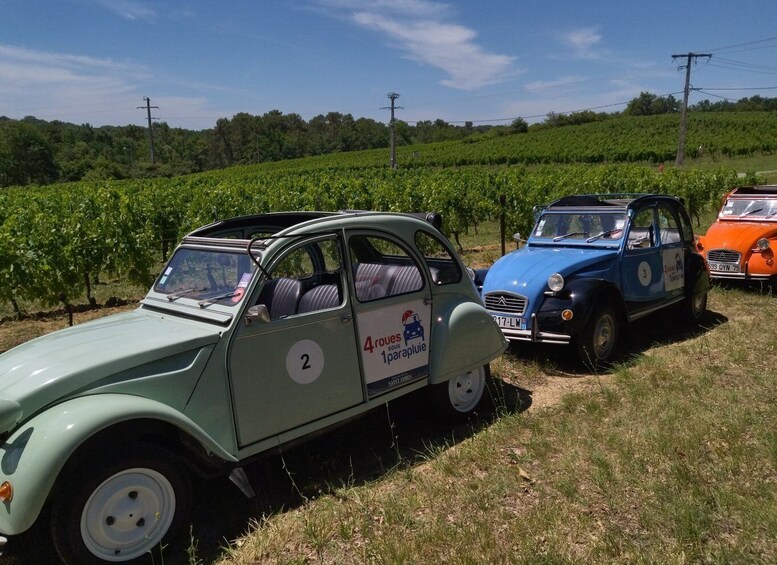 Picture 3 for Activity Saint-Émilion : Citroën 2CV Private 1 Day Wine Tour