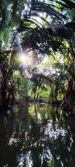 Picture 7 for Activity Canoe Tour in the Tortuguero Canals