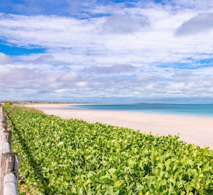 Broome: Panoramic and Discovery - Morning Tour w/ Transfers