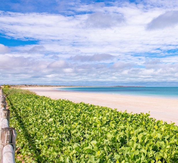 Broome: Panoramic and Discovery - Morning Tour w/ Transfers