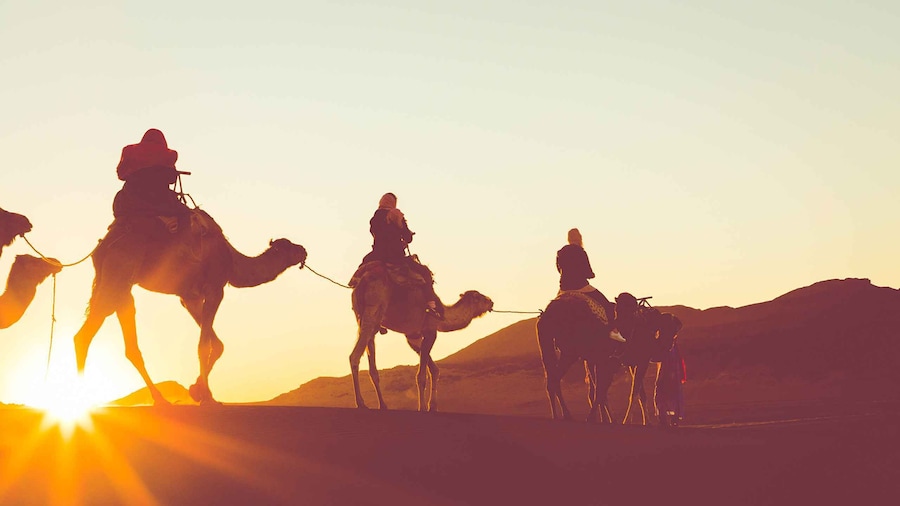 Douz: Sunset or Sunrise Sahara Desert Camel Ride