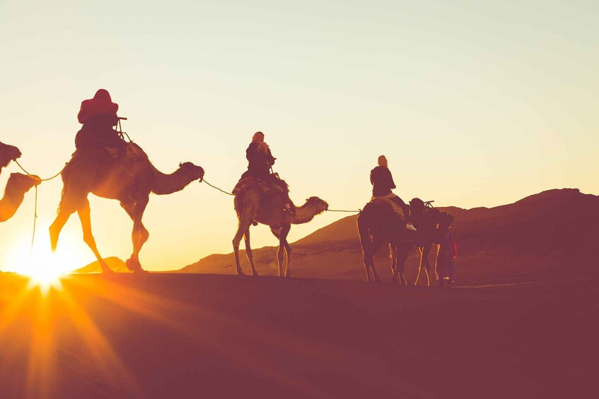 Douz: Sunset or Sunrise Sahara Desert Camel Ride