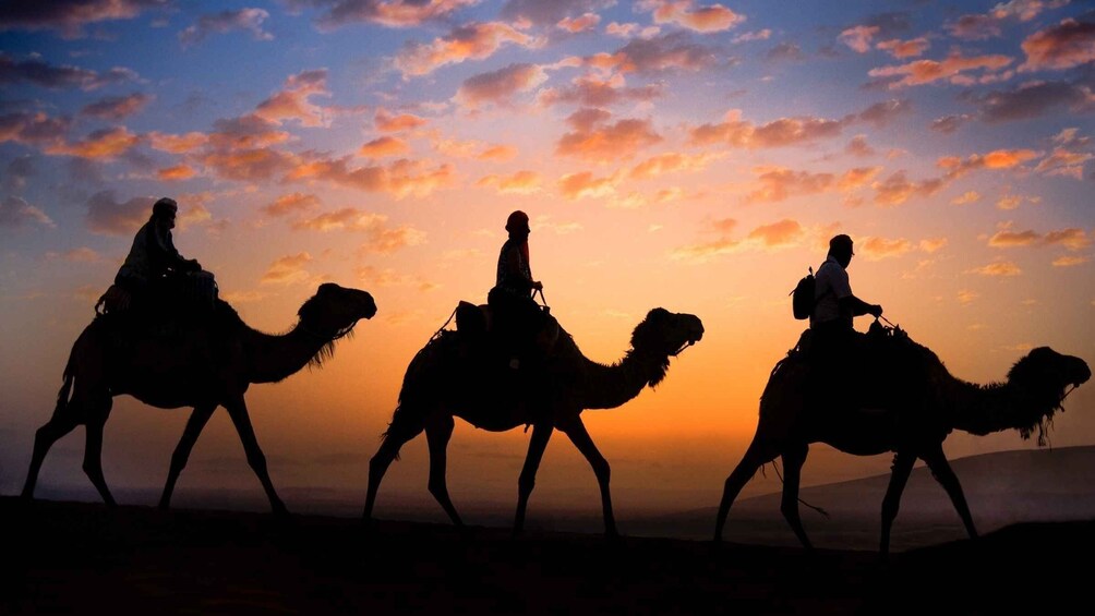 Picture 1 for Activity Douz: Sunset or Sunrise Sahara Desert Camel Ride