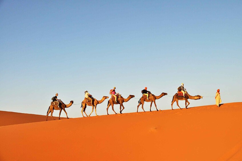 Picture 2 for Activity Douz: Sunset or Sunrise Sahara Desert Camel Ride