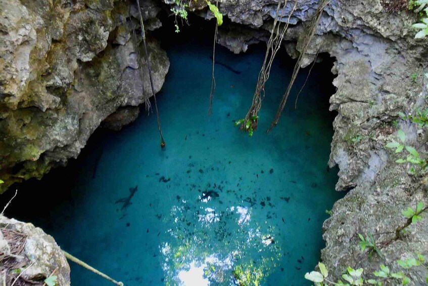 Picture 4 for Activity From Tulum: Temazcal & Cenote Private Experience