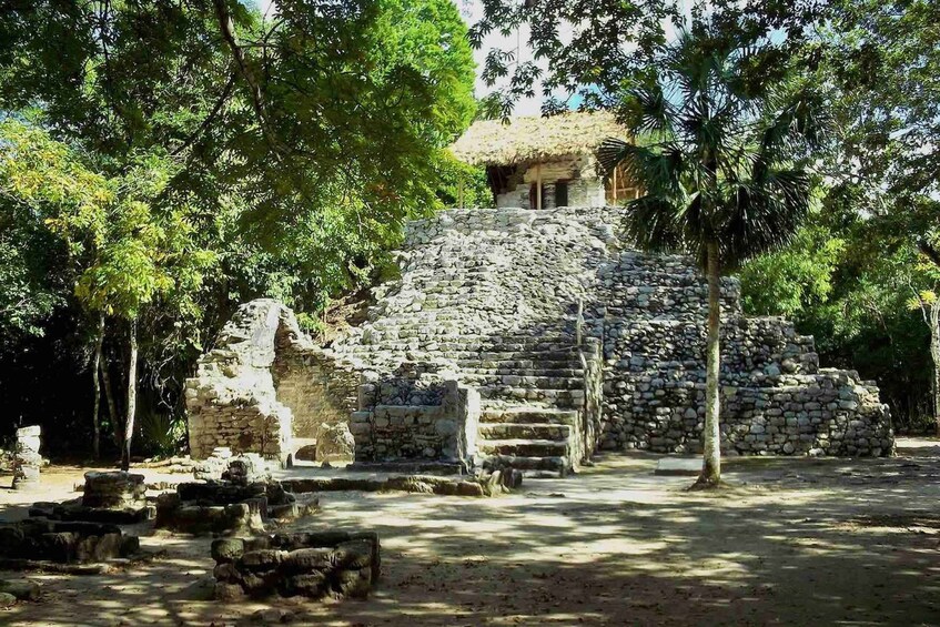 Picture 5 for Activity From Tulum: Temazcal & Cenote Private Experience