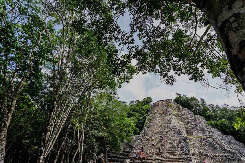 Picture 7 for Activity From Tulum: Temazcal & Cenote Private Experience